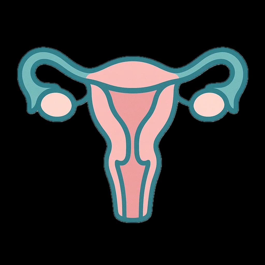 Gynecology & Women's Health Treatment in India