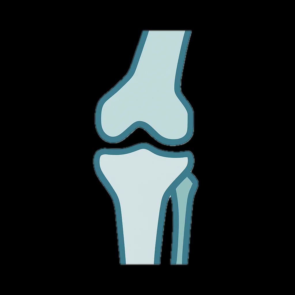 Orthopedics